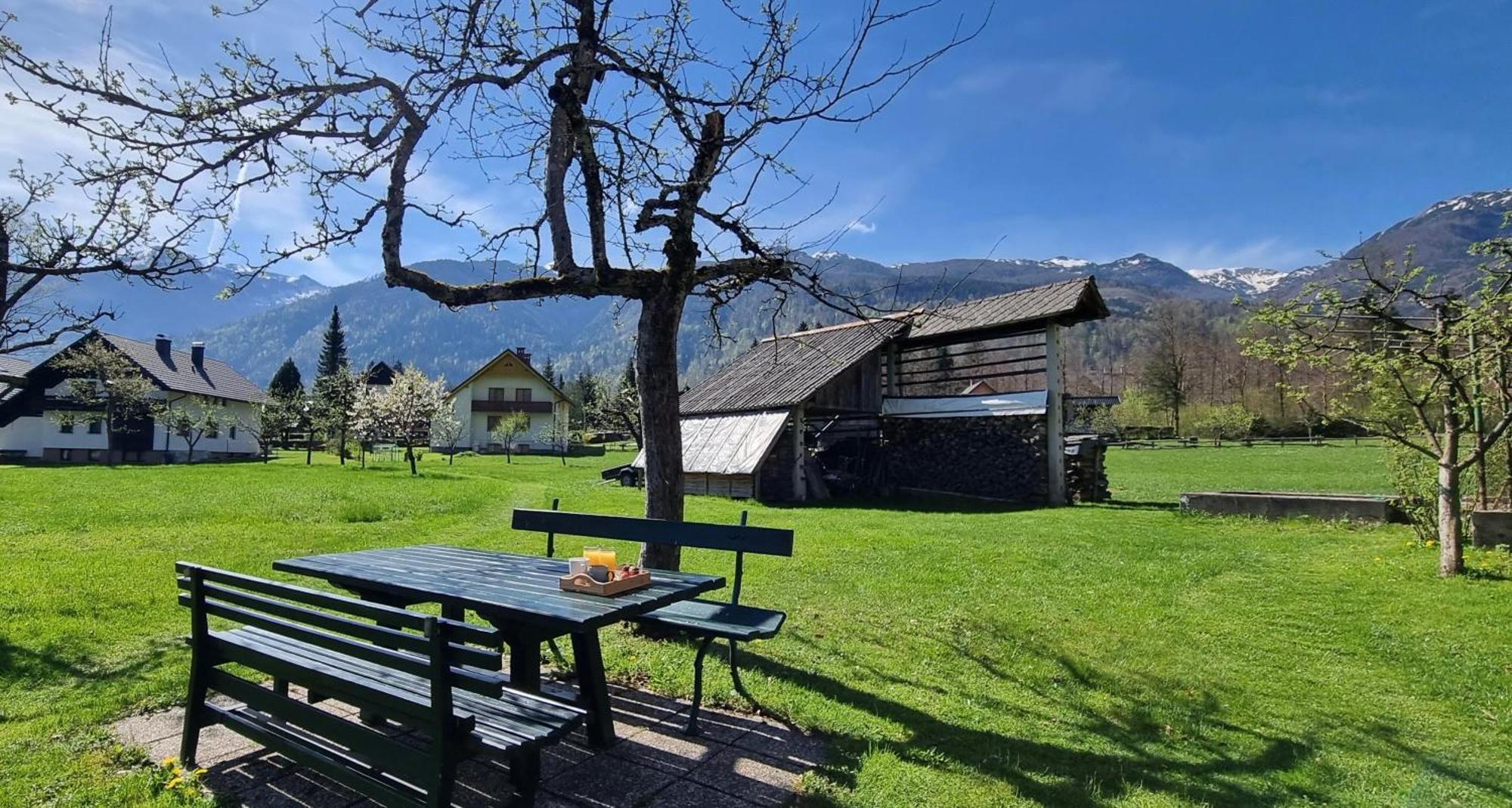 Apartments Skantar Bohinj Extérieur photo